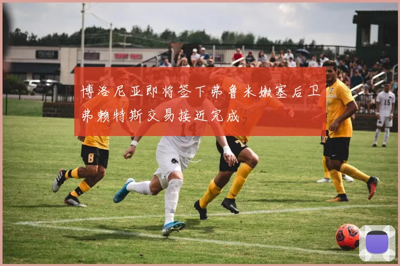 博洛尼亚即将签下弗鲁米嫩塞后卫弗赖特斯交易接近完成