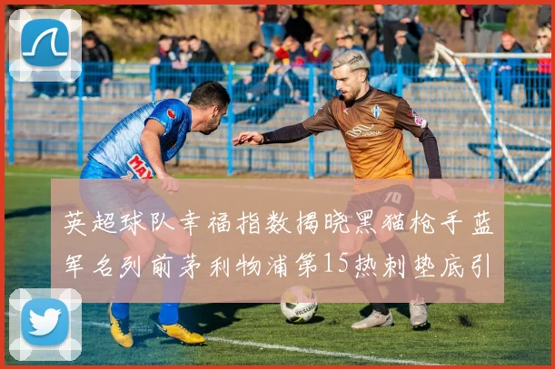 英超球队幸福指数揭晓黑猫枪手蓝军名列前茅利物浦第15热刺垫底引关注
