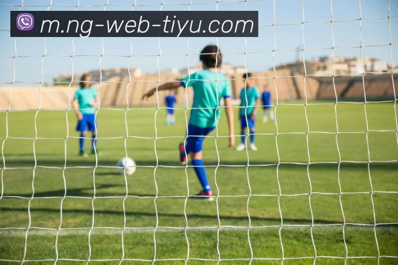 App Interface Preview