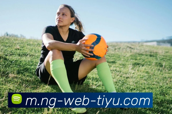 南宫体育APP 封面图